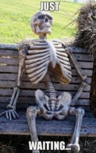 Screenshot_20221219-171350_Gallery