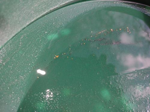 IMG_20221219_132433072