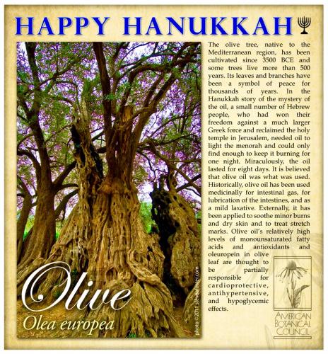 DFD2F71C-D732-4BD3-A38C-FE2948456F71