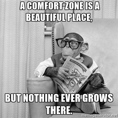 Comfort Zone - Nothing ever grows there...