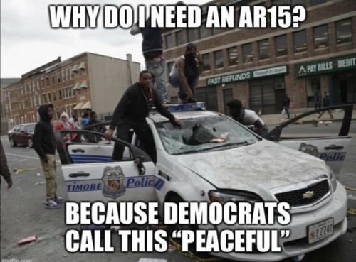Democrats - Why we need an AR-15
