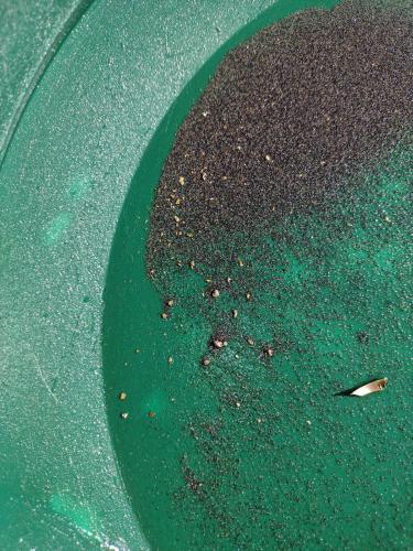 IMG_20221229_141244383