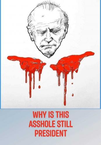 USA Asshole President