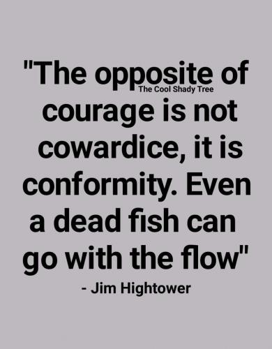 FB_IMG_1667790664056