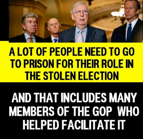 img - 2022-12-19T152906.709