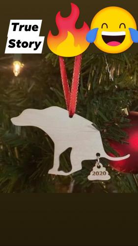 Christmas ornament - 2020