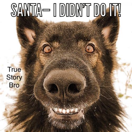 303874BE-3BAF-4FDD-BFC5-396E4577566D