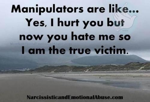 narsicists are victims