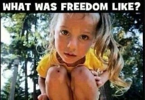 what was freedom like