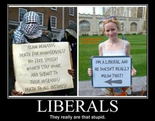 LiberalsReallyThatStupid
