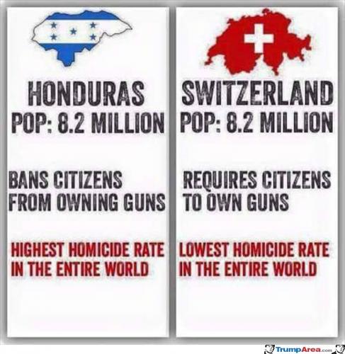 maybe-its-not-the-guns