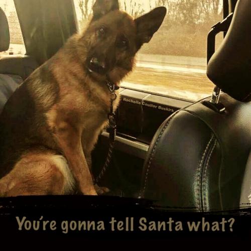 DBE349A7-5419-4BD0-9F78-5DABE9D71294