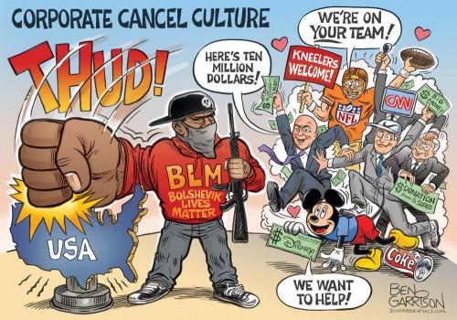 LiberalsCancelCultureJuly2020