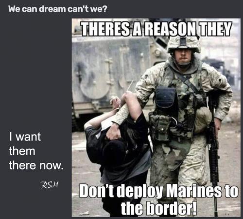 Marines to border