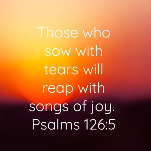 dc4667ac-86e6-4c49-ade7-73097b7a8ee9