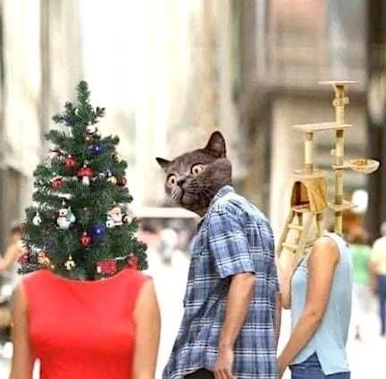 tumblr_69aa863a940774ca5ea4be8bf7f01f94_0a9800f3_500