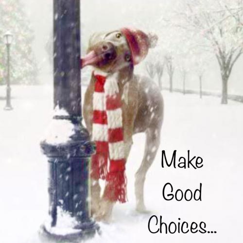 E971224B-6C60-4F75-88D9-724539B4FB1C