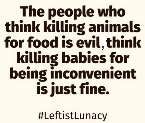 leftisy lunacy 01