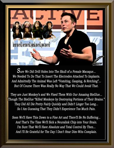 Elon Musk~Monkey Mutilation~