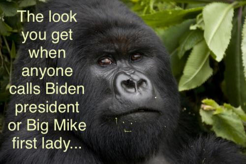 1DF1466C-24E3-4E3D-BF82-D7BDB7EB12AD