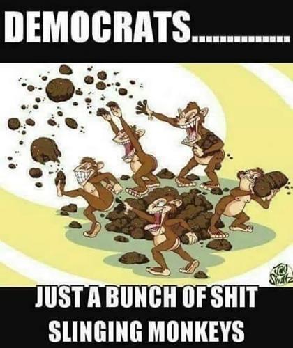 M shit slinging monkeys