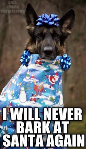 5B023ADA-C68A-4973-8B0C-9ECC345A6747