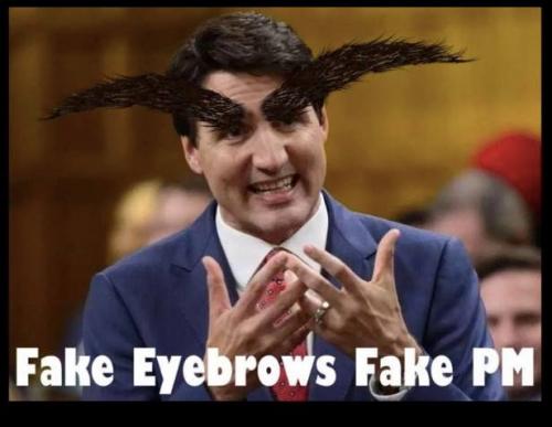 Eyebrows - Justin Trudeau