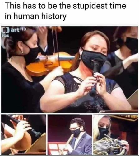 LiberalSollutionNumber319