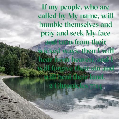 72762d7d-4c51-4cbb-82ce-34d447c364a9