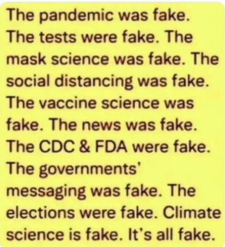 The pandemic was fake
