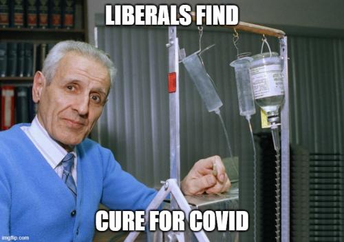 LiberalsFindCureForCovid