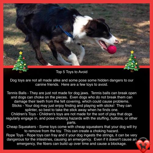 3B11E52A-0EE4-41EC-89EF-4A494EB3E86E