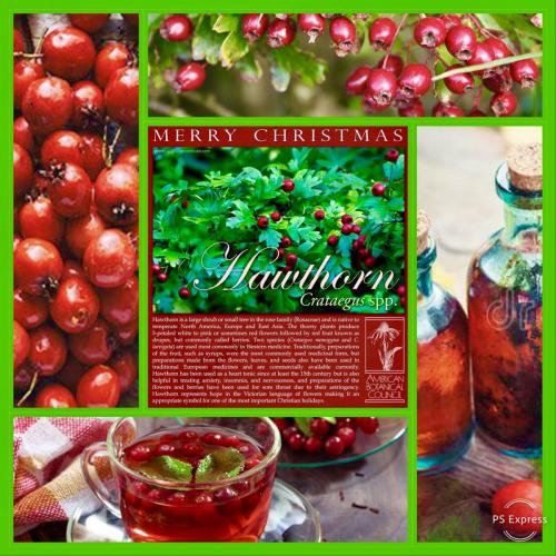 1E1A3C4B-796A-40A9-858F-7C69E4C54F49