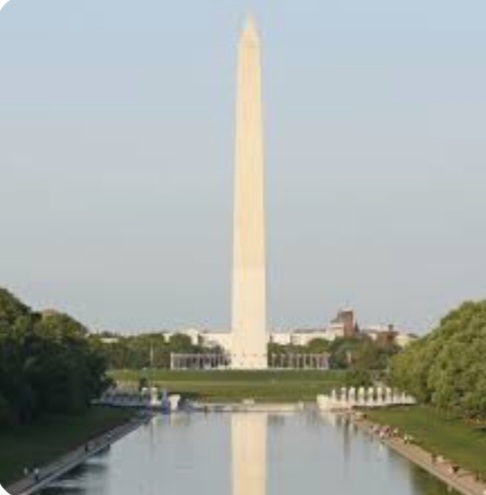 Screenshot_20221130-040821_Google