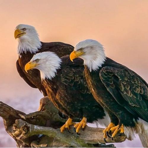 FB_IMG_1670073325617