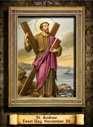 FB_IMG_1669860825632