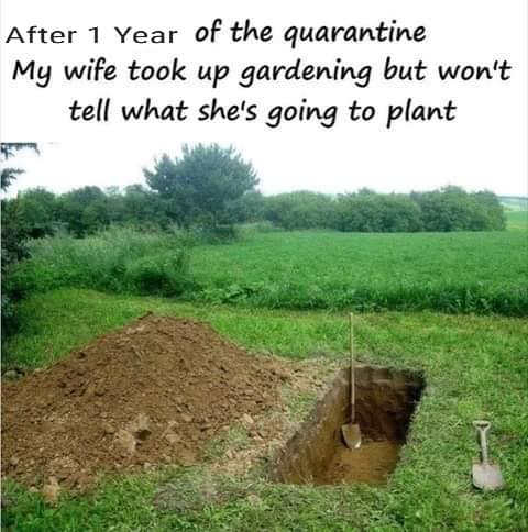 Funny - Quaranteen - Wife took up gardening