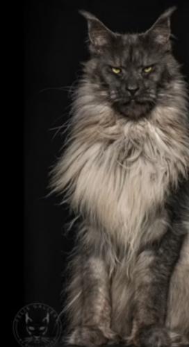 Screenshot_20221225-095017_YouTube