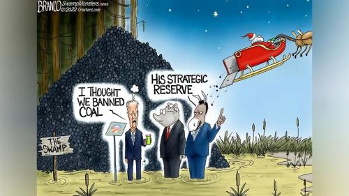 225aa375-cartoon-12-26-22