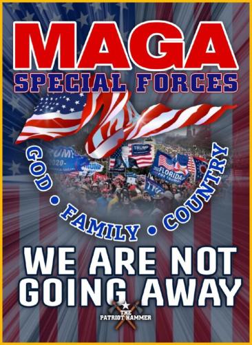 RO MAGA Forces