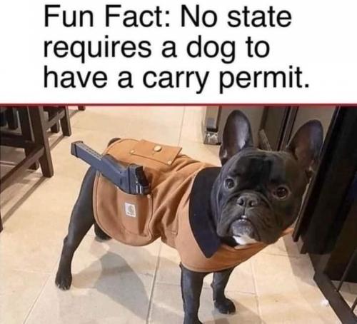 Carry