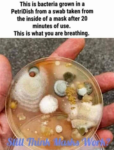 76fcc504-30ee-4a84-9cad-e96096ea3ab3