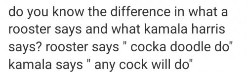 Screenshot_20221208-080242_Wimkin