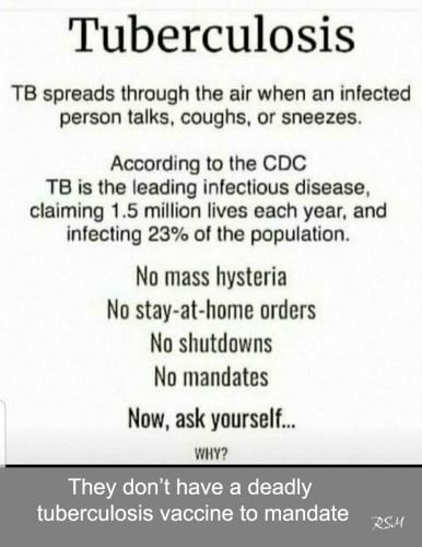 tuberculosis