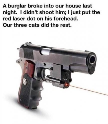 a13