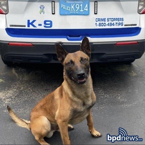 D3B813B0-9462-4F4A-87DF-27C6E5535E8D