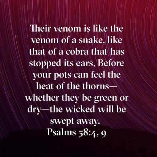 10eb778b-267d-4dec-a473-ce8cc922e059