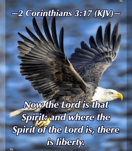 IMG_20221227_084913_863