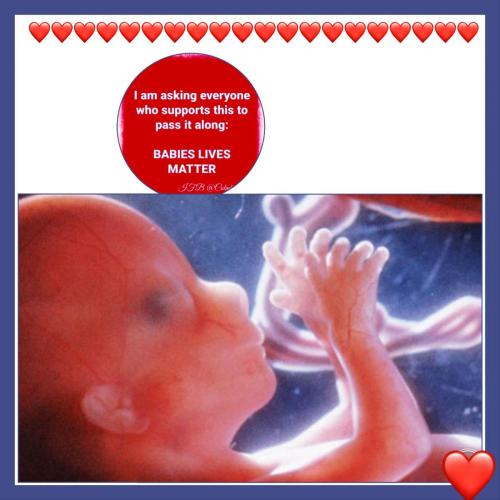 110C44B9-503B-4C90-9FD5-54939981123A