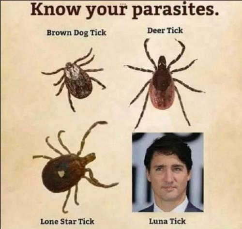 Justin Trudeau - Lunatick